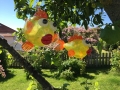 20150620_081838979_iOS