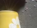 20160512_173024587_iOS